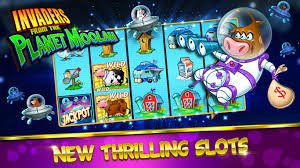 ao8 VIP Member Reward Myanmar Betting Platform